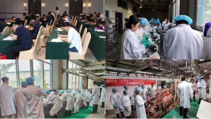 练本领 强技能 促提升——2023年烟台市乡村振兴暨农业农村行业职业技能竞赛动物检疫检验员竞赛圆满落幕