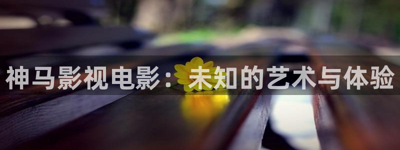 到金牌影院网站：神马影视电影：未知的艺术与体验