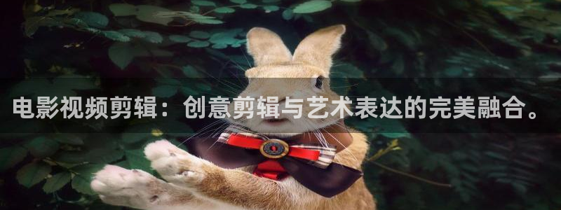 金牌销售韩国电影：电影视频剪辑：创意剪辑与艺术表达的完美融合。