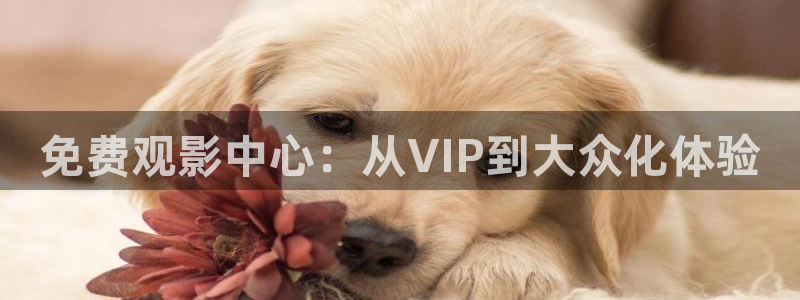 韩国电影金牌销售：免费观影中心：从VIP到大众化体验