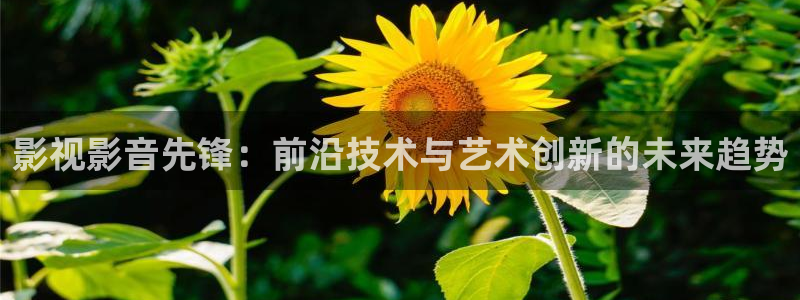 电视剧金牌律师电视剧全集在线观看：影视影音先锋：前沿技术与艺术创新的未来趋势