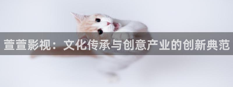 长乐曲金牌影院：萱萱影视：文化传承与创意产业的创新典范